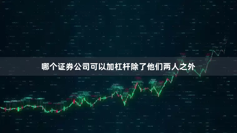 哪个证券公司可以加杠杆　　除了他们两人之外