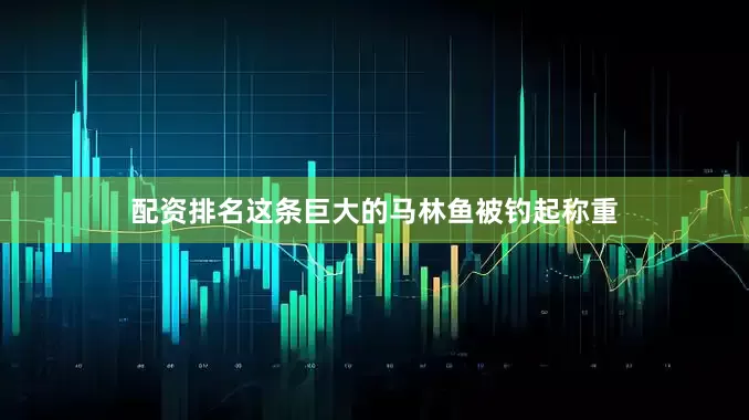 配资排名这条巨大的马林鱼被钓起称重
