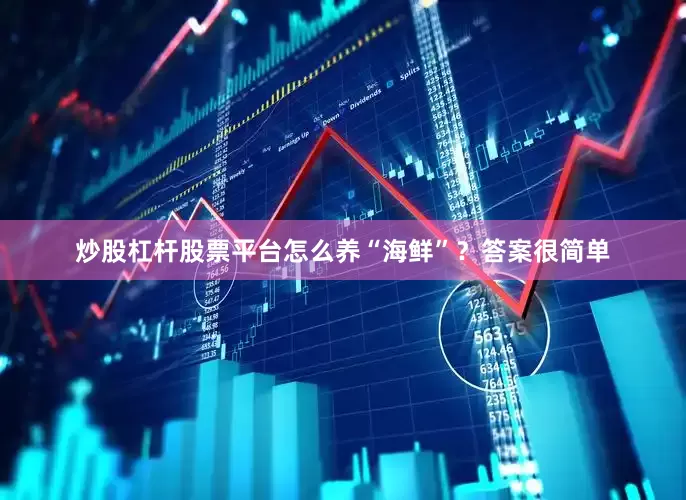 炒股杠杆股票平台怎么养“海鲜”？答案很简单
