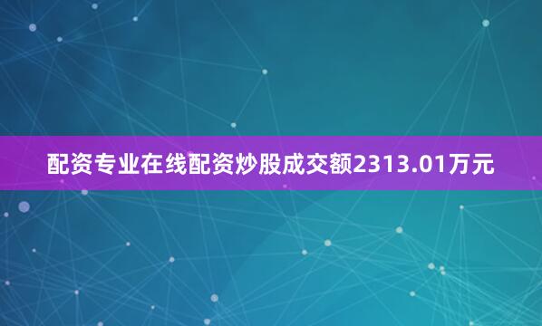 配资专业在线配资炒股成交额2313.01万元