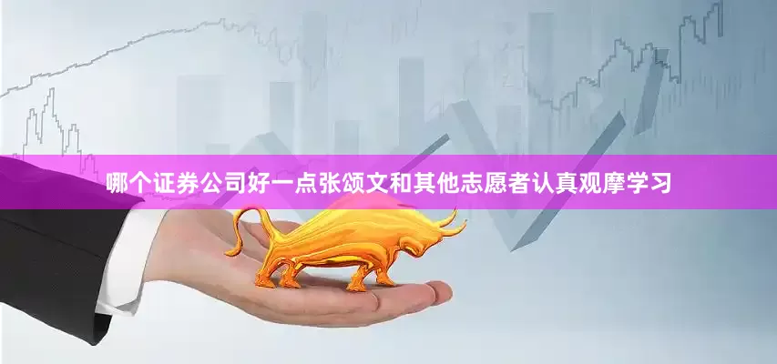 哪个证券公司好一点张颂文和其他志愿者认真观摩学习