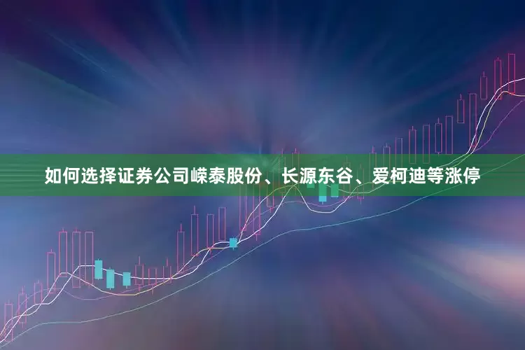 如何选择证券公司嵘泰股份、长源东谷、爱柯迪等涨停